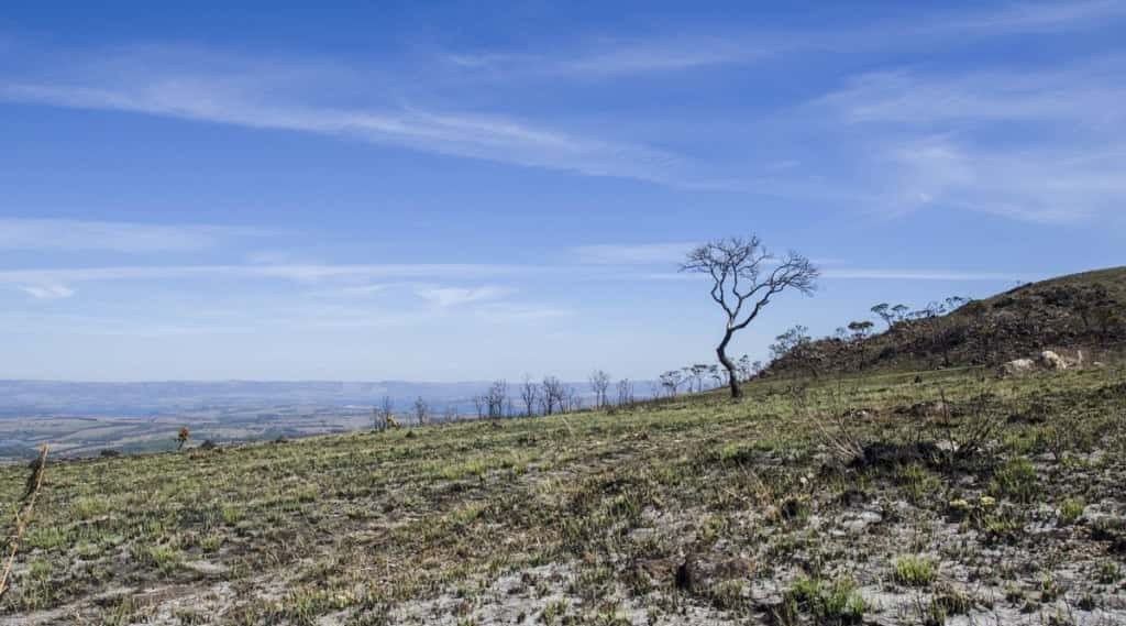 El Niño 2026: risco de chuvas intensas no Sul e seca prolongada no Norte e Nordeste