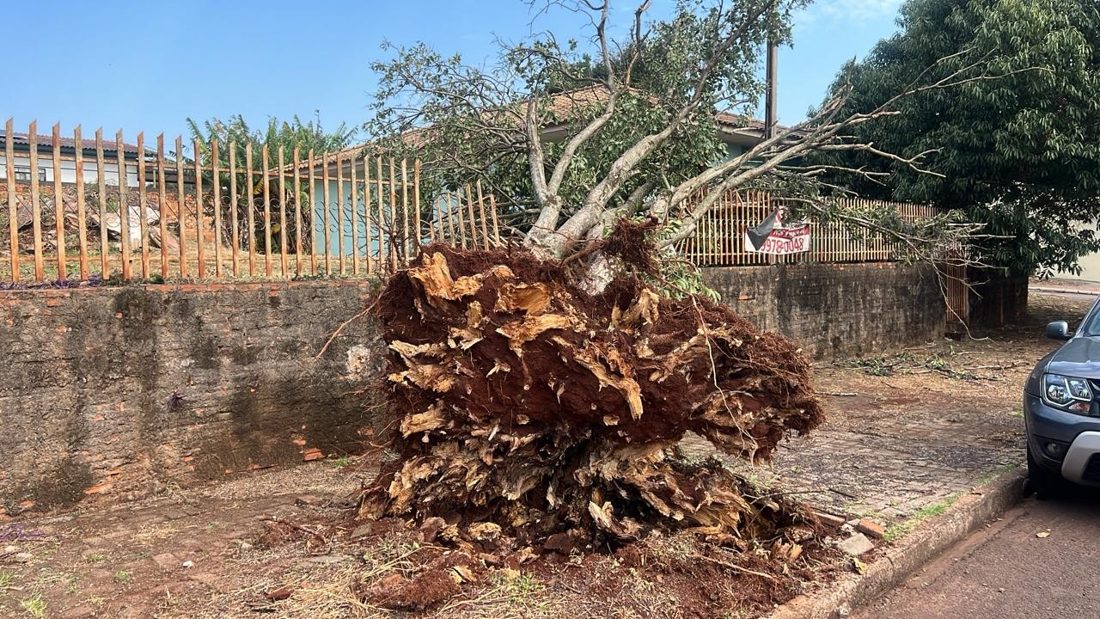 Temporais provocam casas destelhadas, queda de árvores e apagões em cidades do Paraná