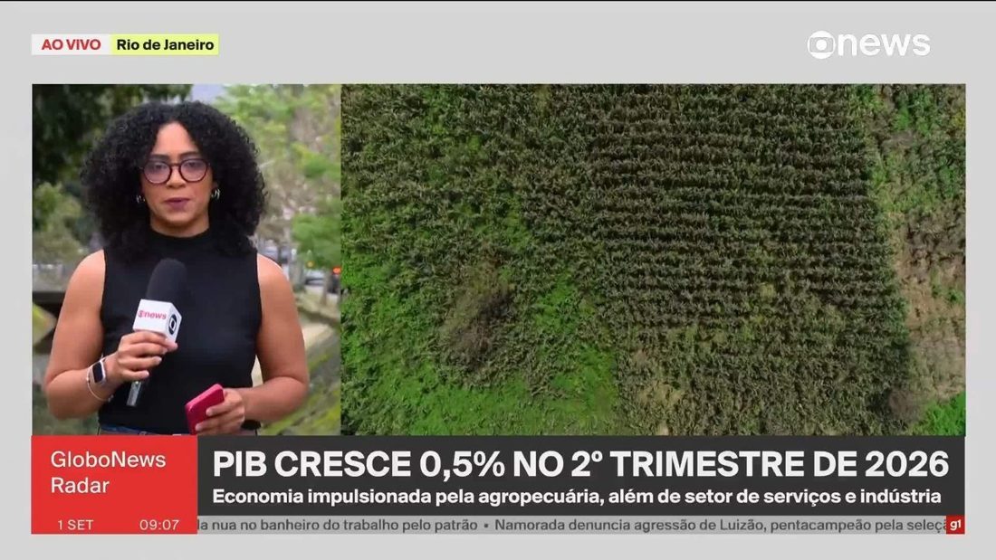 PIB do Brasil registra crescimento de 0,5% no 2º trimestre de 2026, impulsionado pela agropecuária