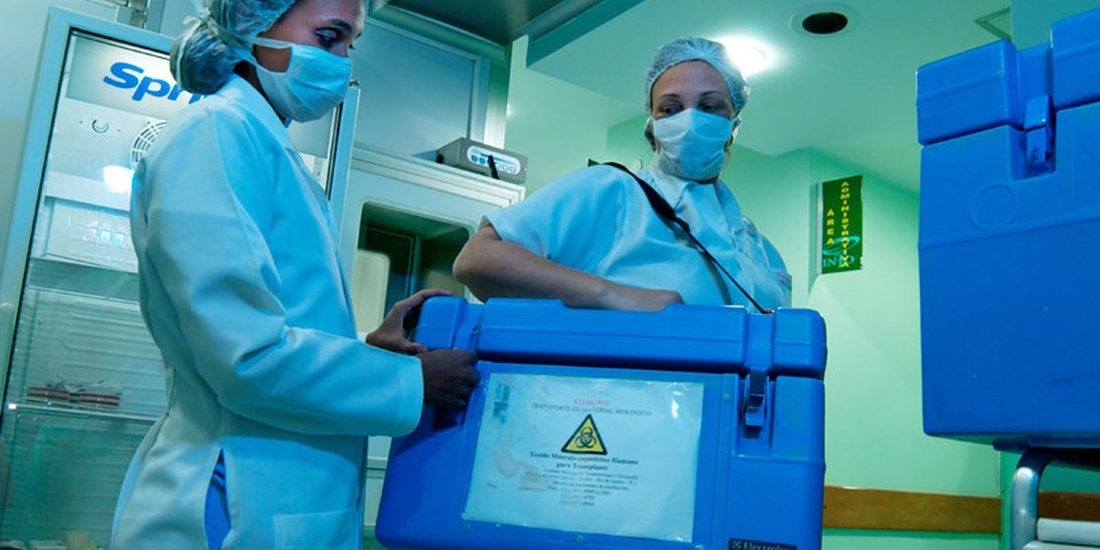 Setembro Verde destaca que idosos podem ser doadores vivos de órgãos no Brasil