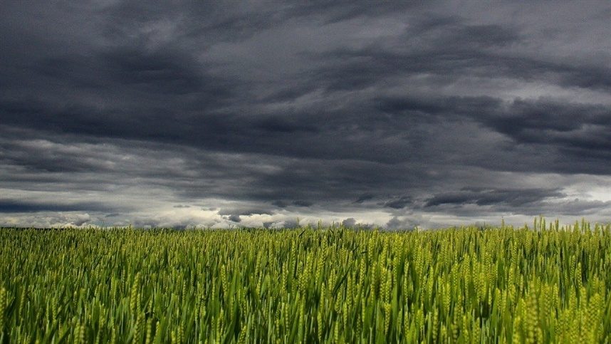 El Niño se intensifica enquanto frente fria persiste no Centro‑Sul do Brasil