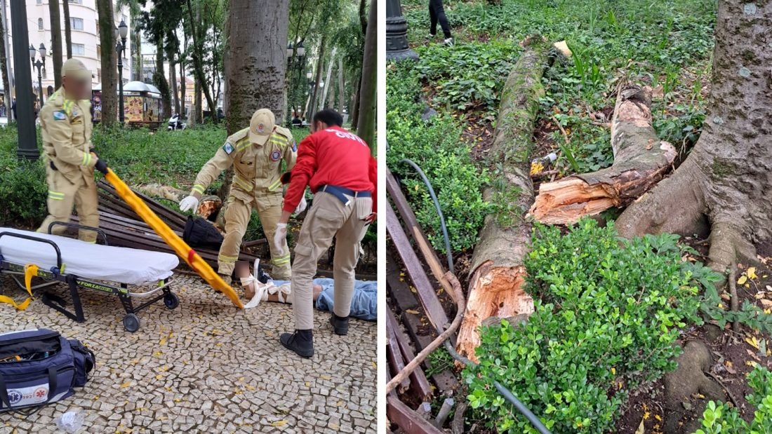 Praça Osório, em Curitiba, será interditada a partir de 23/10 para obras de revitalização após três acidentes com galhos caídos
