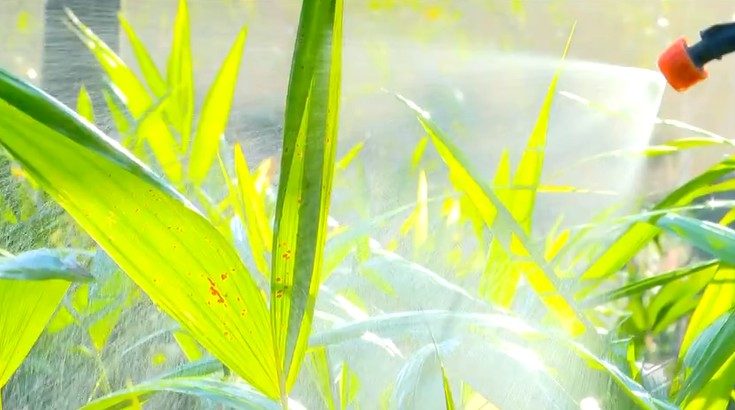 Produzir Biofertilizantes: Um Guia para Nutrir o Solo e as Plantas