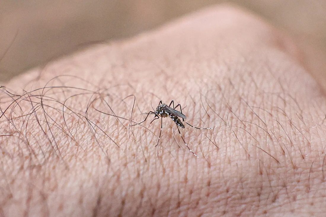 Goiás Registra Alta de 15% em Casos de Dengue em 2026
