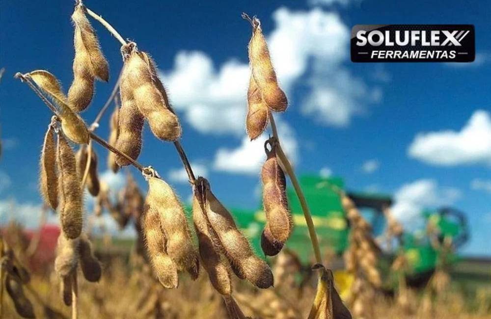 Soja em Alta em Jataí e Pecuária Manteve Preços Firmes em Julho