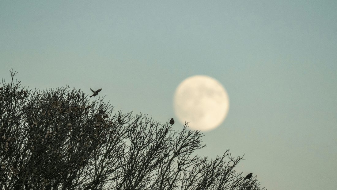 Fase da Lua em 26 de agosto de 2026: Lua Crescente com 95% de visibilidade