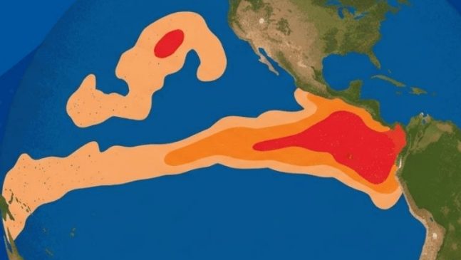 Boletim El Niño 2026-2027 indica 95% de chance de seca extrema no Centro-Norte e chuvas intensas no Sul do Brasil