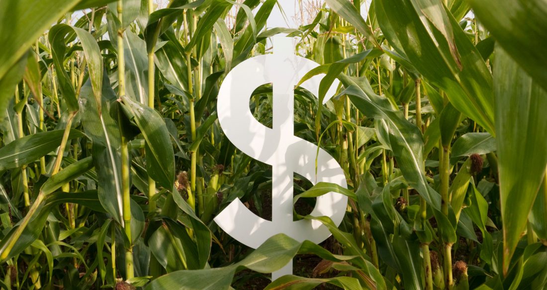 BTG Pactual lança megaoferta de Fiagro de até R$ 20 bilhões com retorno‑alvo de até 97% do CDI