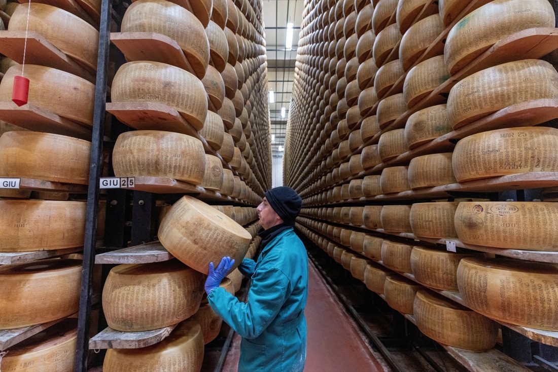 Ondas de calor ameaçam a produção do Parmigiano Reggiano na Itália