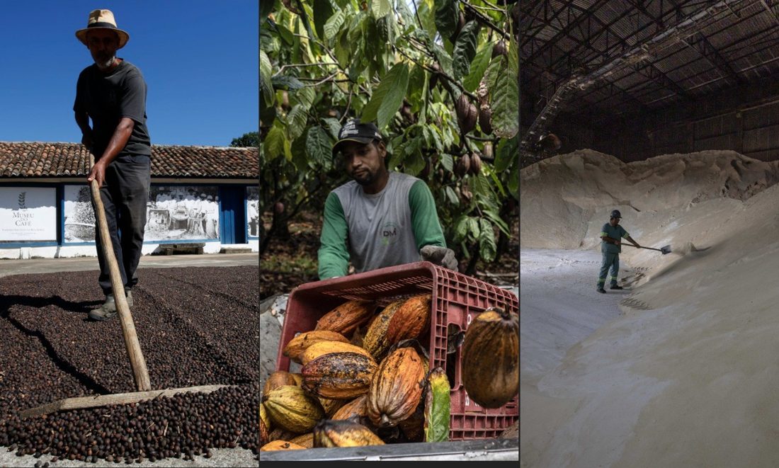El Niño eleva preços de café, cacau e açúcar e pressiona agro brasileiro com risco de queda no PIB em 2027