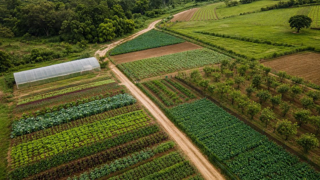 MDA retoma GT do Plano Safra com oficina sobre agricultura familiar