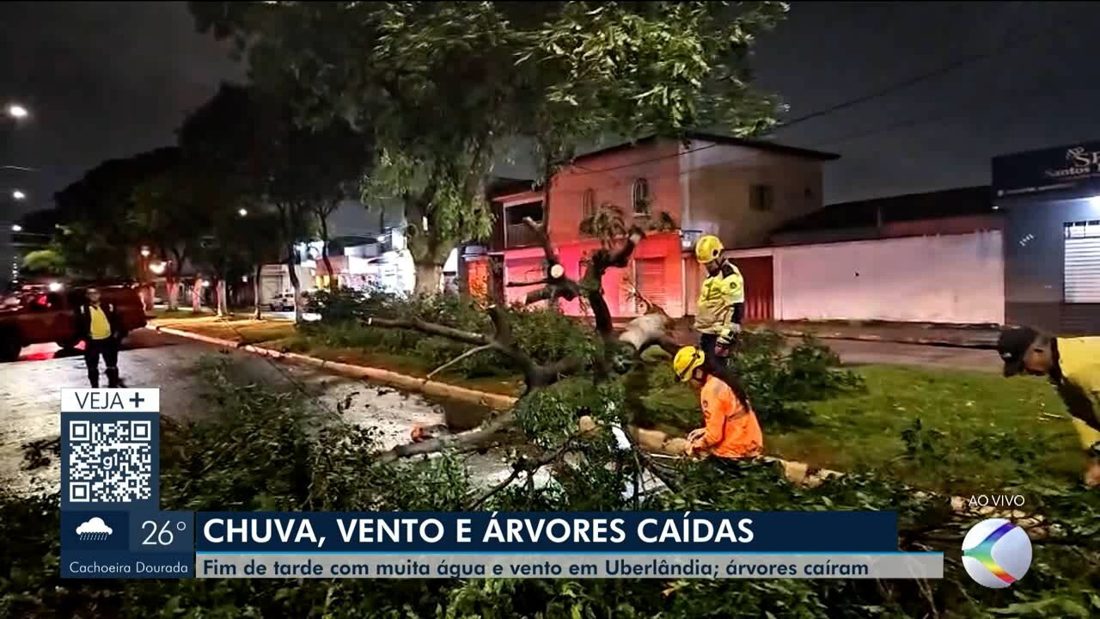 Temporal de chuva e vento forte derruba árvores em Uberlândia na noite de 06/10/2026
