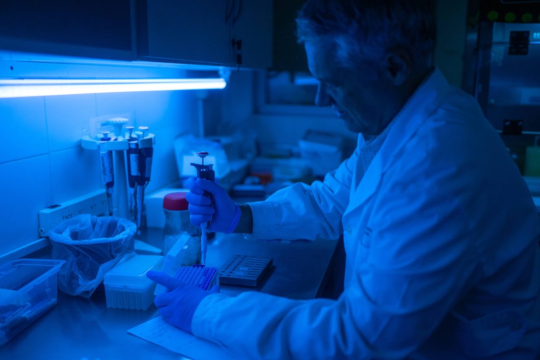 Doenças raras da América do Sul apontam caminho para a próxima pandemia