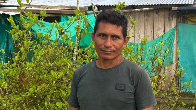 Colômbia: Cultivo de Coca Atinge Níveis Recordes Após Atrasos no Apoio Governamental