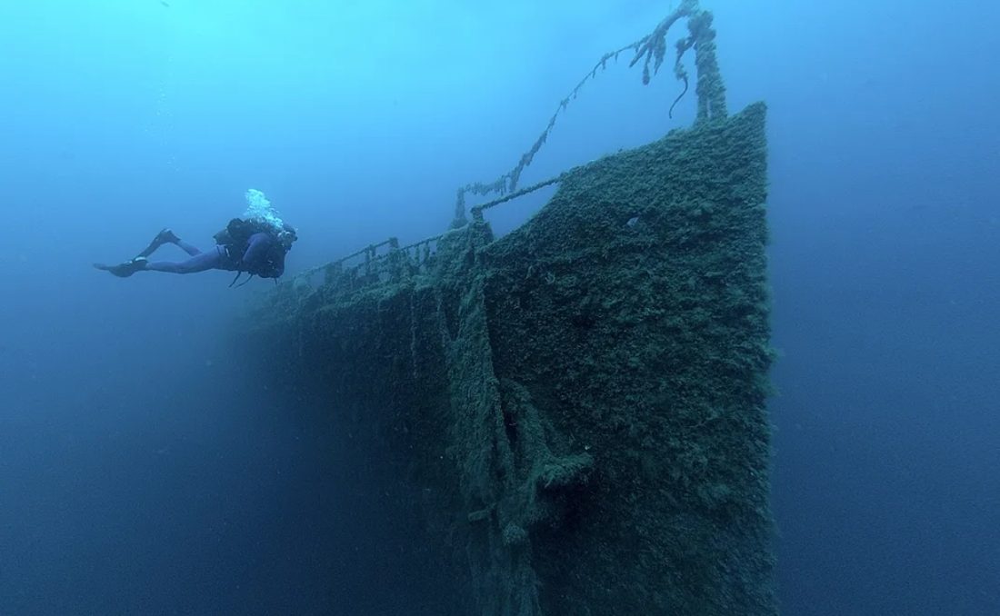 Navio-hospital italiano Po, afundado na Albânia em 1941, vira recife artificial repleto de vida marinha