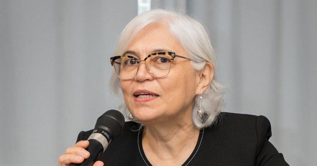 El Niño eleva risco de doenças no Brasil e Ministério da Saúde enfatiza antecipação, diz diretora Agnes Soares