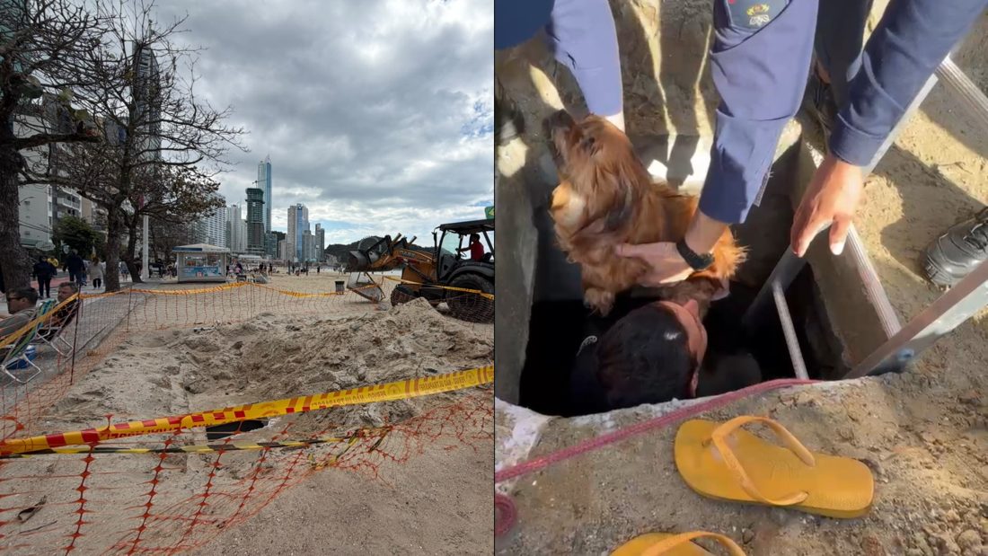 Cachorro cai em galeria de macrodrenagem na Praia Central de Balneário Camboriú e é resgatado por bombeiros