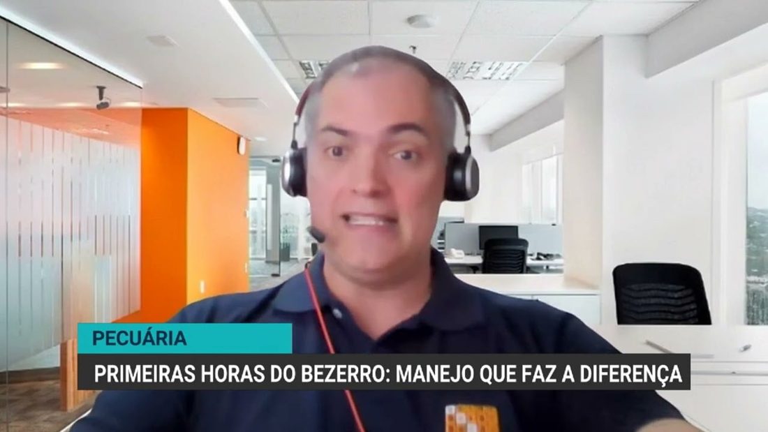 Colostragem Correta: O Segredo para Reduzir Mortalidade de Bezerros