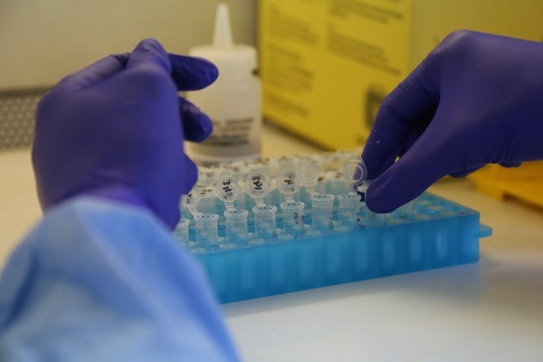 Transmissão da Mpox no Rio: como ocorre e medidas de prevenção