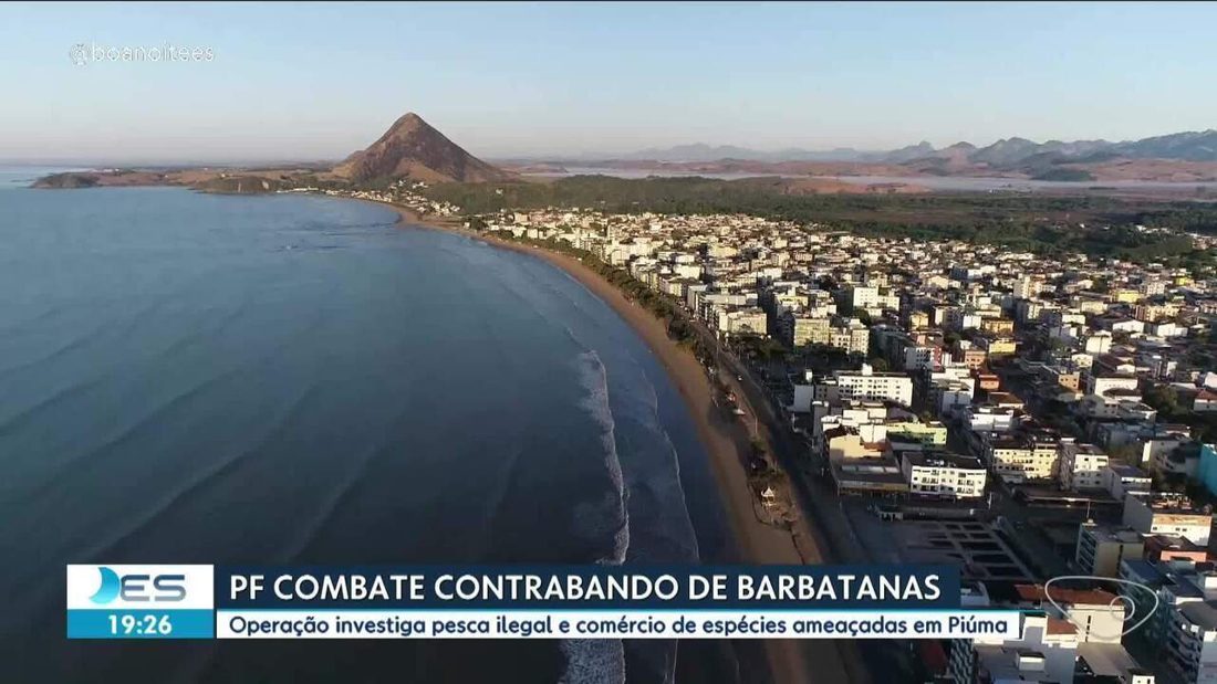 PF investiga pesca ilegal e contrabando de barbatanas de tubarão em Piúma (ES)