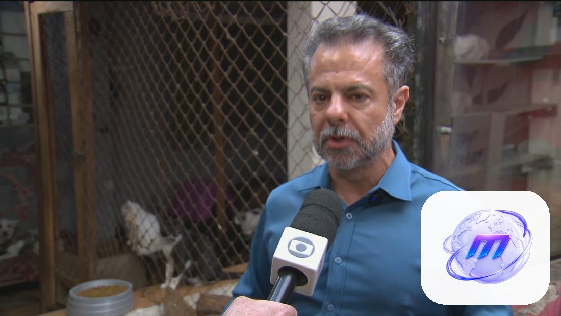 Ministro Toffoli determina suspensão da campanha digital de Wilson Grassi (Democrata) e bloqueia recursos do FEFC