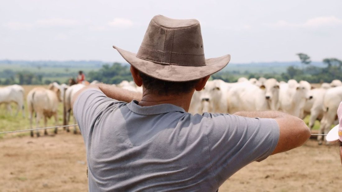65% dos produtores rurais sentem que são vistos de forma negativa