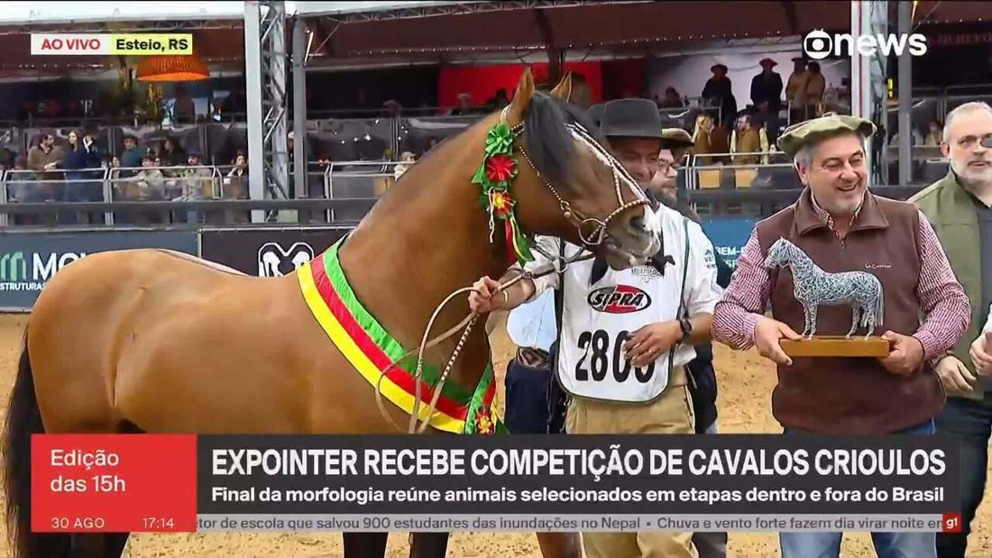 Expointer sedia final da competição de Cavalos Crioulos com seleção nacional e internacional