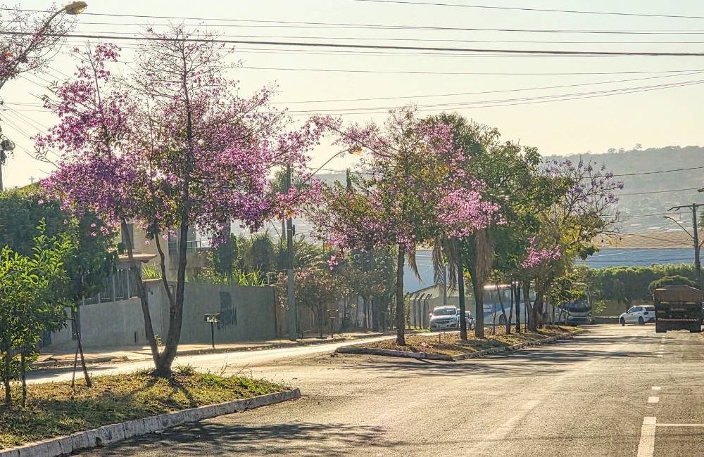 Jataí enfrenta sexta-feira de tempo firme e baixa umidade