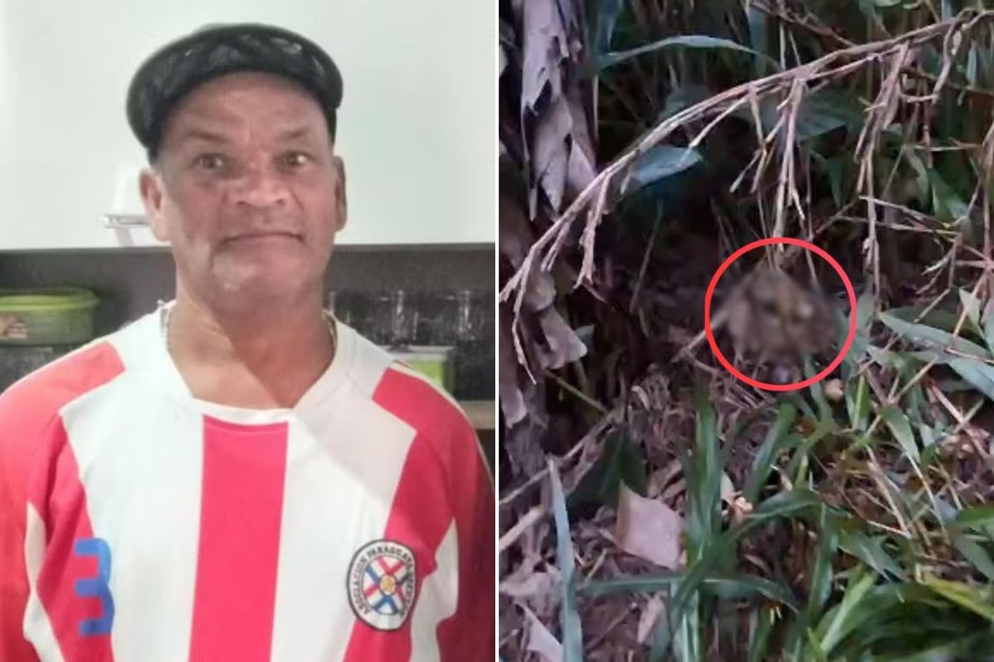 Restos mortais e parte de camiseta são encontrados em busca do pedreiro José Aparecido Ferreira, morto em suposto "tribunal do crime" em Itanhaém