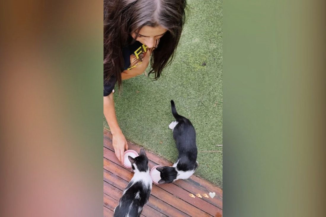 Filhotes invadem a porta da mansão de Jade Picon e despertam curiosidade sobre adoção