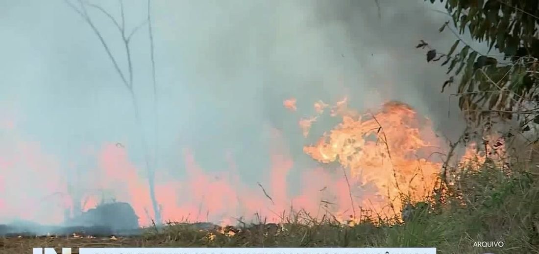 Triângulo Mineiro entra em alerta severo contra risco de queimadas, segundo Climatempo