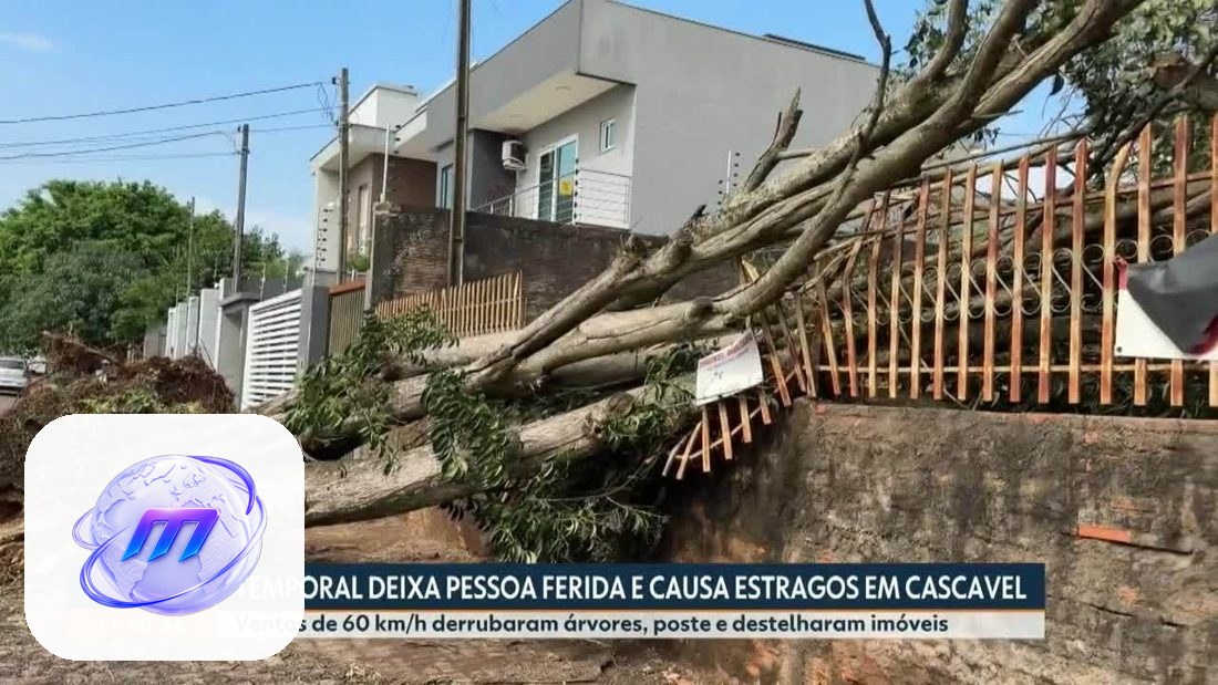 Temporal com ventos de até 60 km/h deixa ferido e causa danos em Cascavel