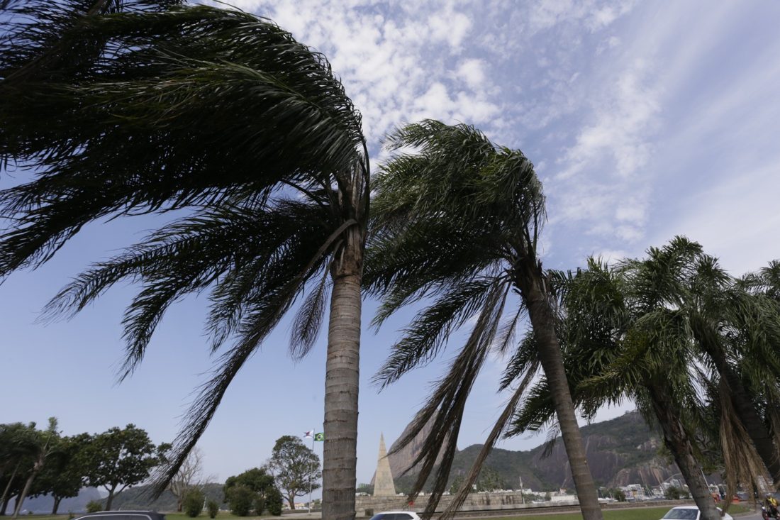 Rio registra ventos fortes e queda de árvore no início do domingo; tempo é instável por todo o estado