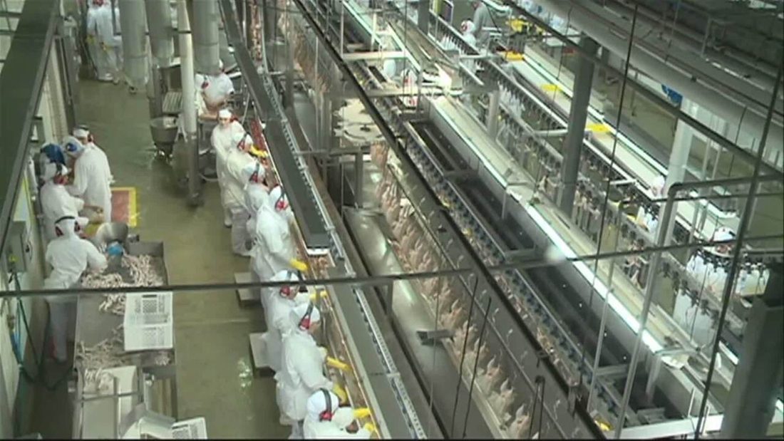 Exportações de carne bovina registram queda em julho, aponta Globo Rural