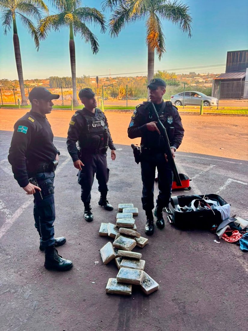 Cão farejador da GCM de Jataí encontra 20 kg de maconha em ônibus