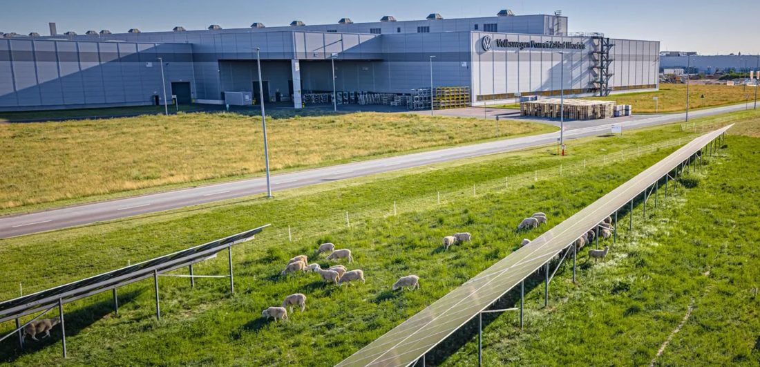 Ovelhas 'Contratadas' pela Volkswagen para Trabalhar em Fábrica