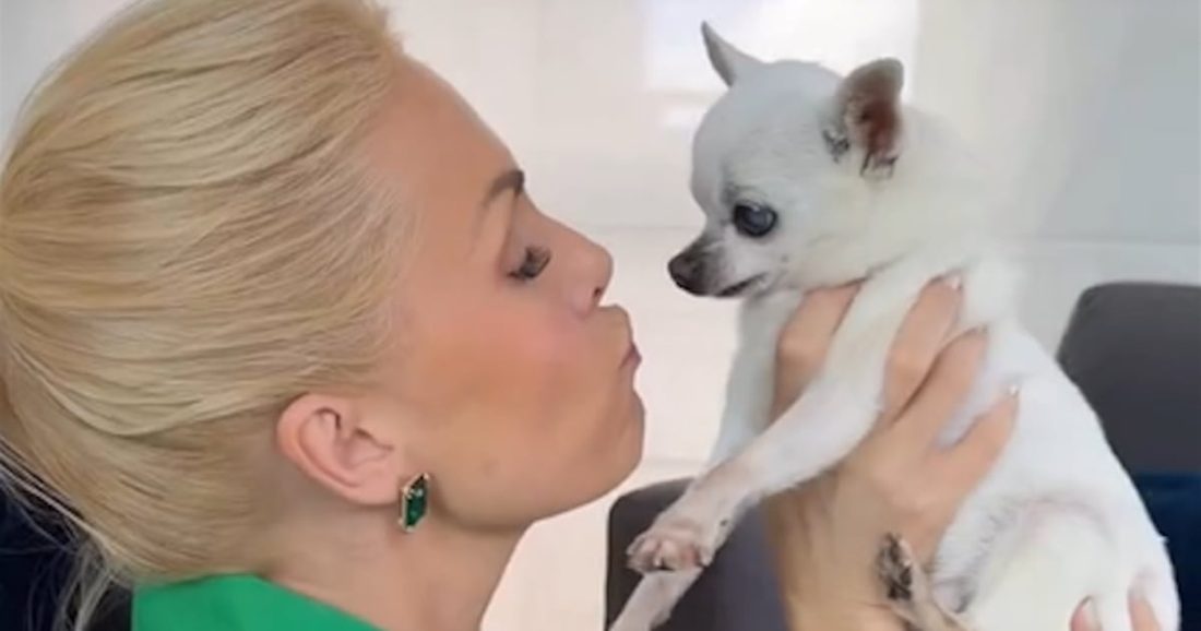 Ana Hickmann se despede do cachorro Zhee, Chihuahua de 16 anos, após falecer dormindo