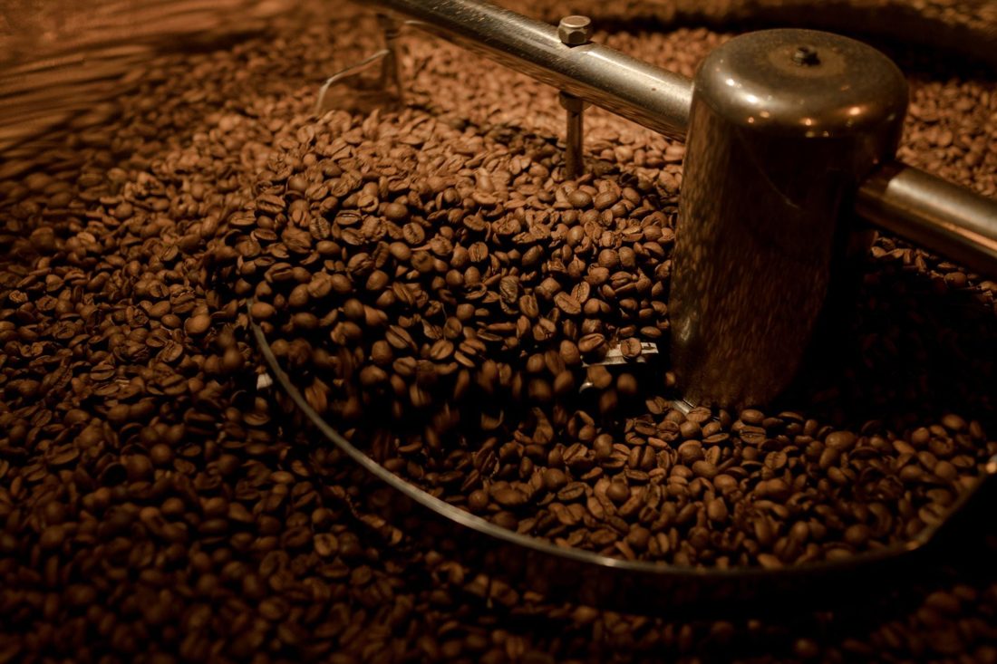 Fernanda Rodrigues revitaliza fazenda de 180 hectares em Avelar e a transforma em refúgio familiar e produção de café