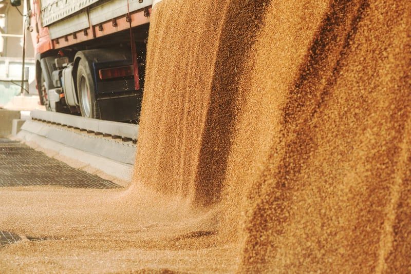 Transportadoras do Agro Enfrentam Aumento de 414% na Carga Tributária