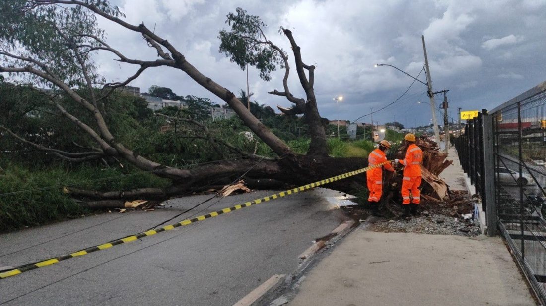 Cerca de 24,5 mil moradores de Minas Gerais seguem sem energia após fortes chuvas