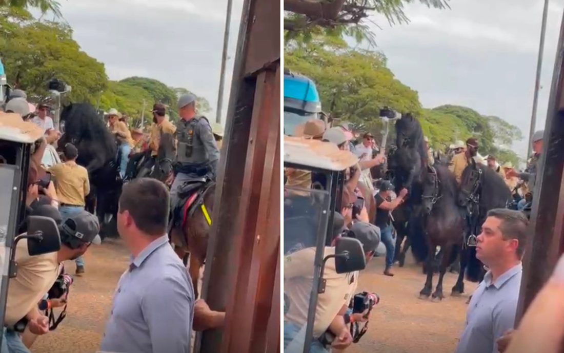 Susto de Andressa Suita com cavalo viraliza e influenciadora Aline Pessoa elogia: “Ela dominou”