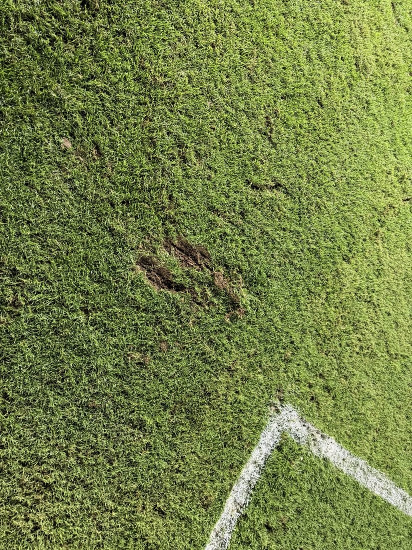 Fotos revelam estado do gramado da Vila Belmiro na partida contra o Palmeiras