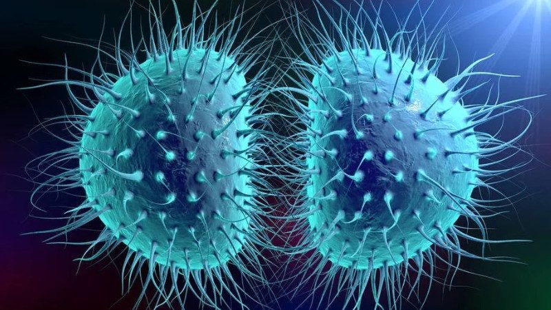 Sinal de alerta: caso de meningite é confirmado em Cmei cascavelense