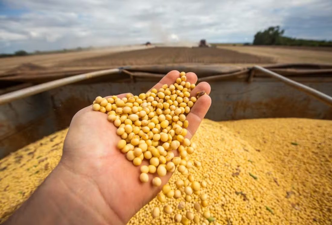 Brasil Pode Superar EUA como Maior Exportador Agrícola do Mundo